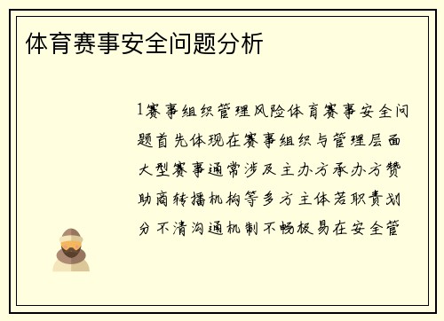 体育赛事安全问题分析